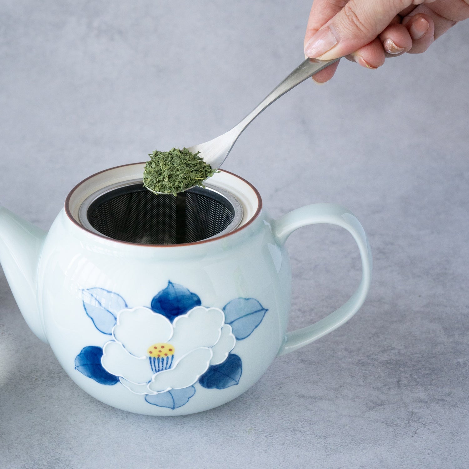 Ichin Sazanka Teapot (Hasami Ware) – Handcrafted Japanese Porcelain | MIWA Tableware
