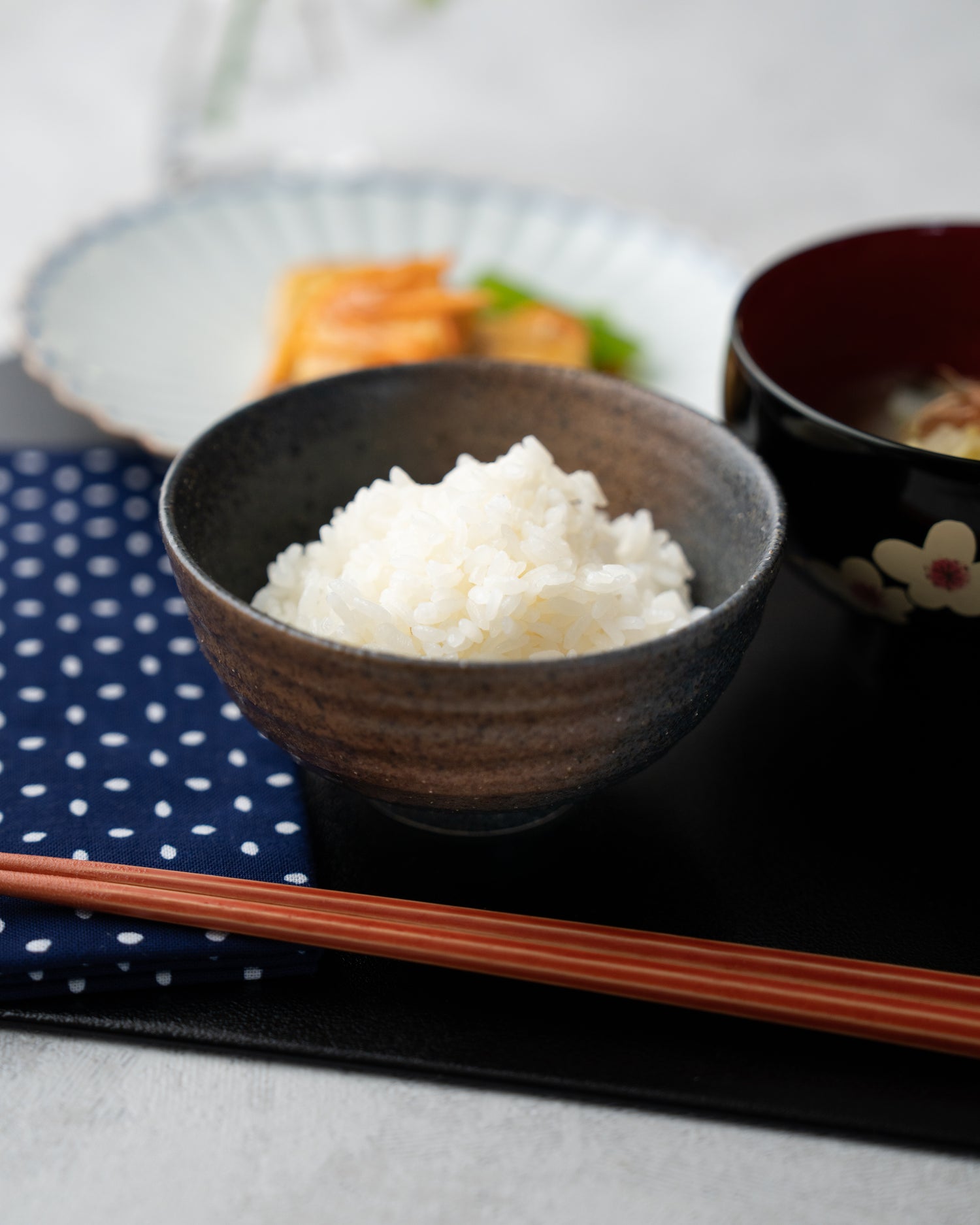 Minoyaki Rice Bowl (Brown/Black)