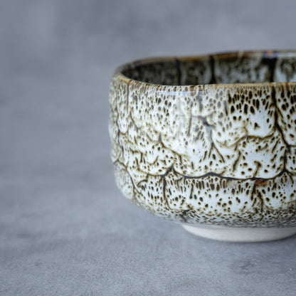 White Tenmoku Matcha Bowl – Handcrafted Mino Ware Gift Box | MIWA Tableware