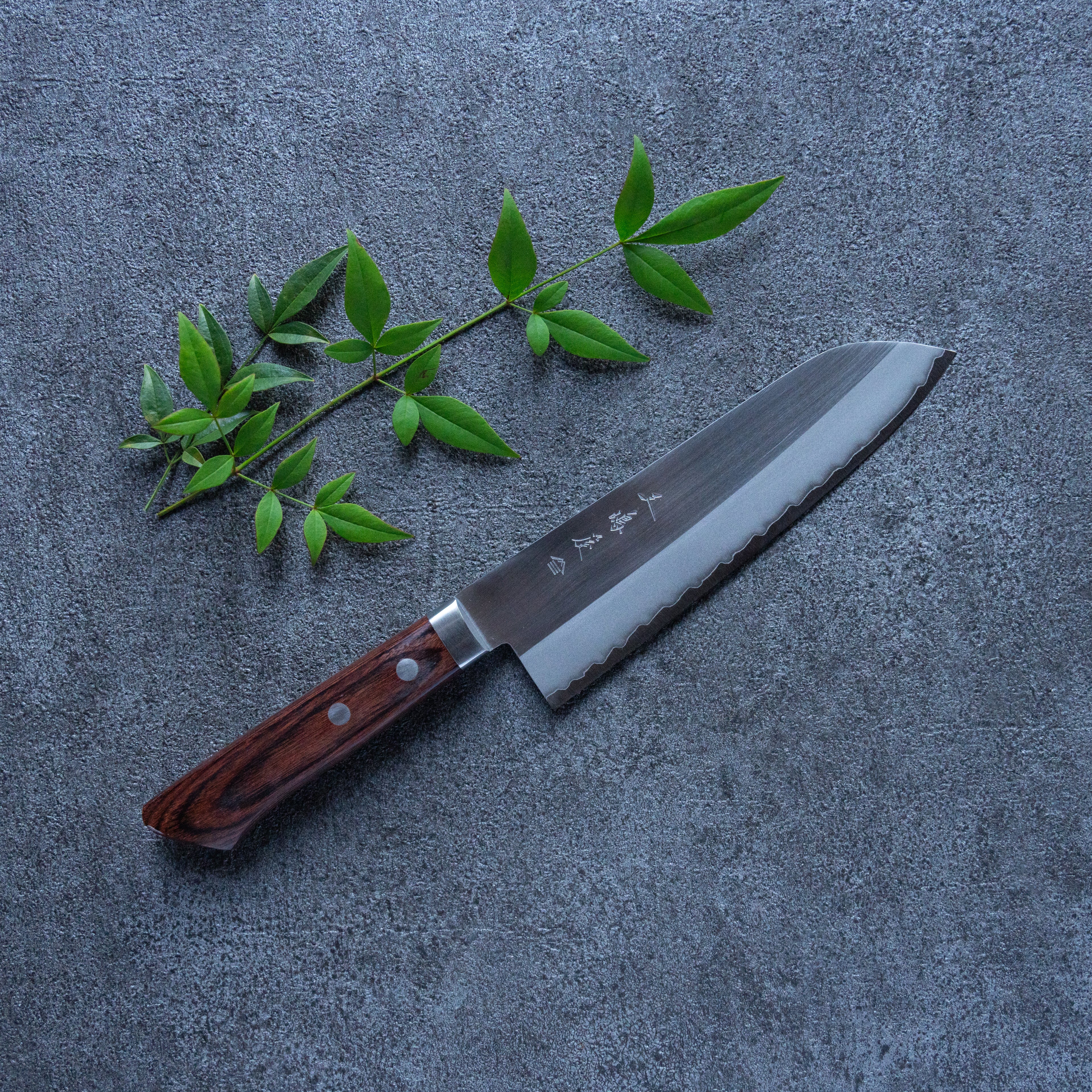 Classic Polished Santoku All-Purpose Knife